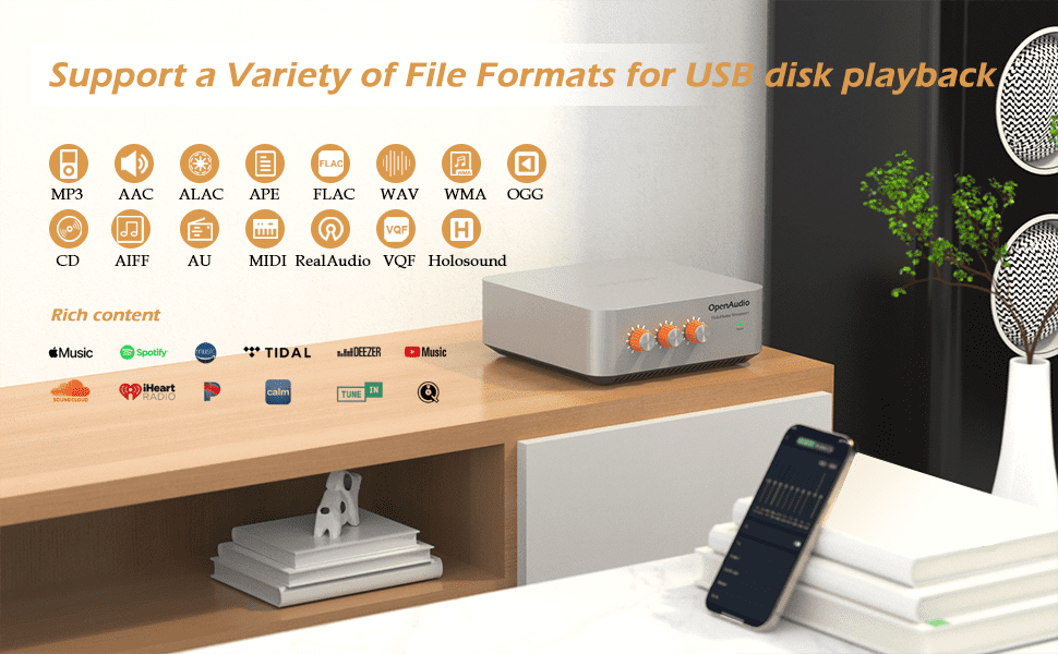 HoloHome Streamer Plus Supports multiple audio formats for USB content playback-2