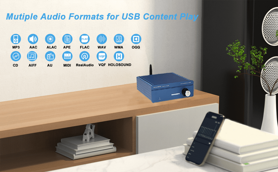 HoloHome Streamer Supports multiple audio formats for USB content playback