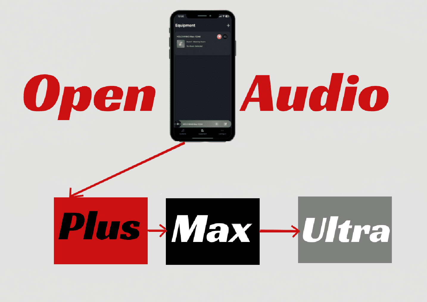 How to cascade HoloWHAS Ultra/Plus/Max Amplifier